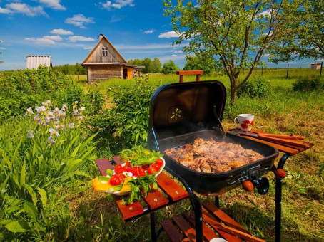 6 вещей, которые нельзя делать дачникам: иначе будут проблемы