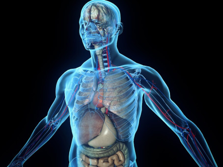 5 глупых мифов о здоровье