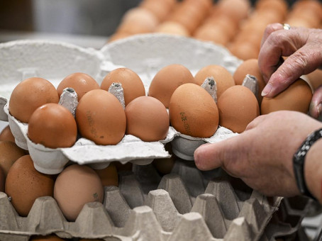 Не просто белок: скрытые суперспособности яиц