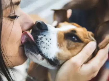 Что на самом деле происходит, когда собака облизывает ваше лицо?