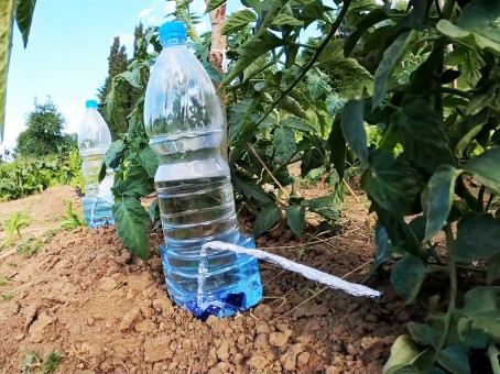 Как сократить время на полив растений в теплицах