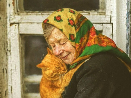 Старушка спасла бездомного котика: дальше начались чудеса