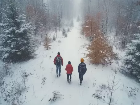Кости в тайге: при поисках Усольцевых обнаружили страшную находку