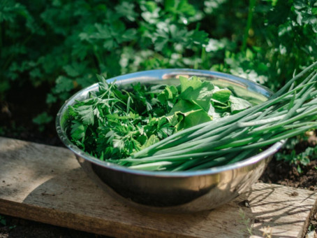 Опасность тромбоза: эта любимая зелень сгущает кровь