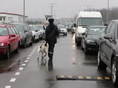 Жители ЕС массово устремились в РФ ради одного