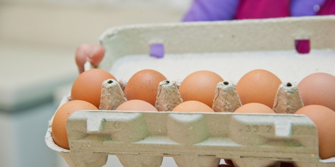 Врач развеяла мифы про влияние яиц на здоровье человека