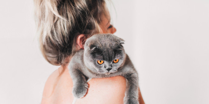 Хозяйка кота с чувством юмора рассмешила очередь в ветклинике