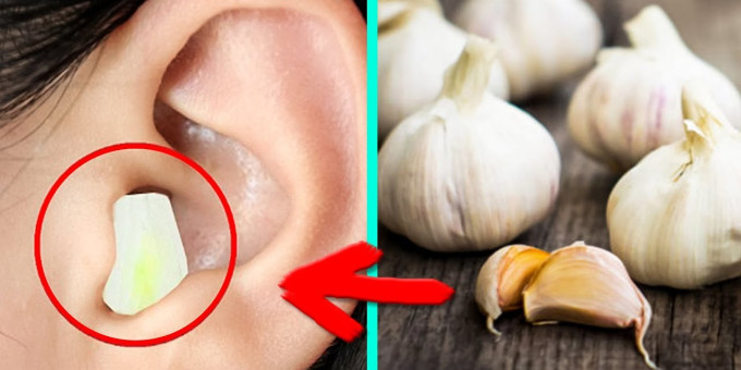 Положи чеснок в ухо на ночь — и утром откроешь неожиданный секрет своего организма