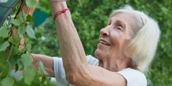 Стало известно, в каком месяце рождаются долгожители