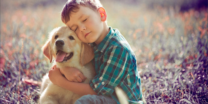 Мальчик написал письмо своей умершей собаке и получил ответ