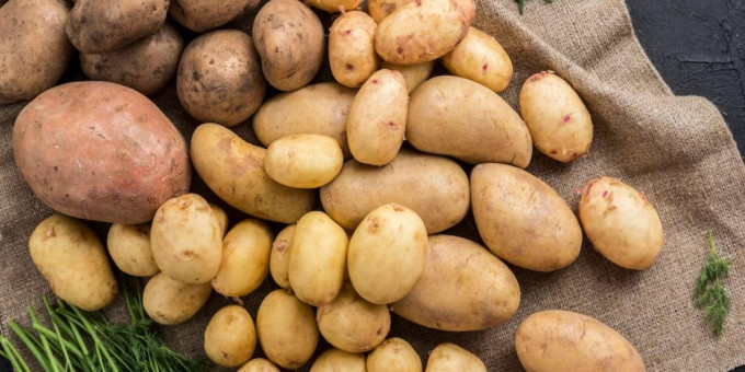 Почему никогда не стоит хранить сырую картошку в холодильнике