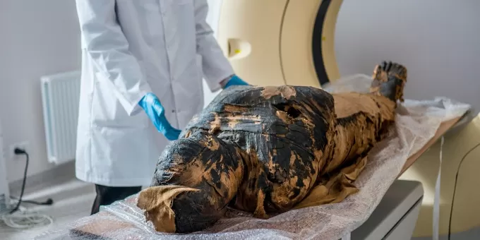 Ученые удивились, когда сканировали мумию