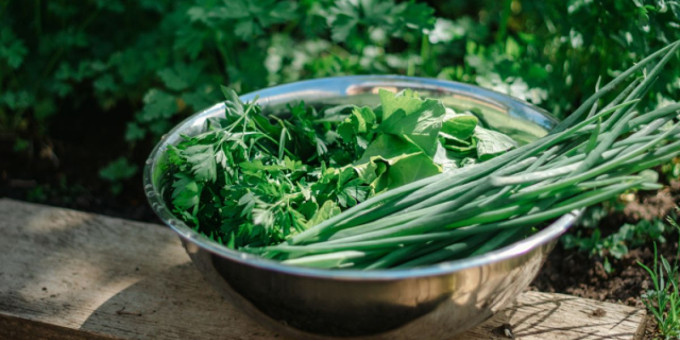 Опасность тромбоза: эта любимая зелень сгущает кровь