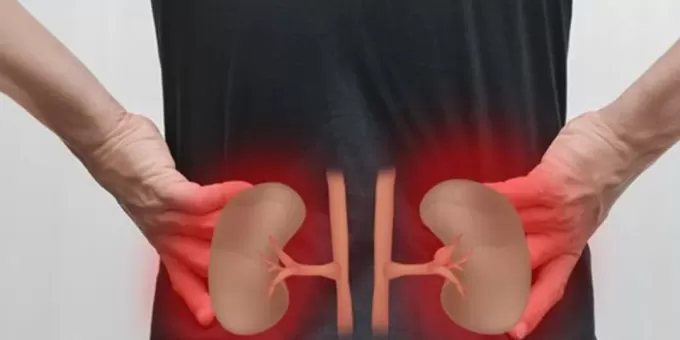 От камней в почках: секретная польза одного цитруса