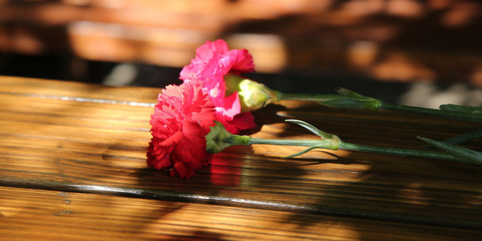 Актёр популярного сериала погиб в пожаре