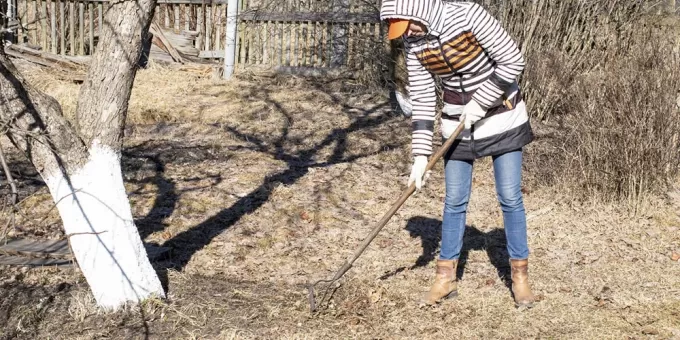 Россиянам объяснили, когда начинать подготовку к дачному сезону